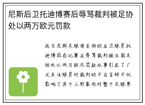 尼斯后卫托迪博赛后辱骂裁判被足协处以两万欧元罚款