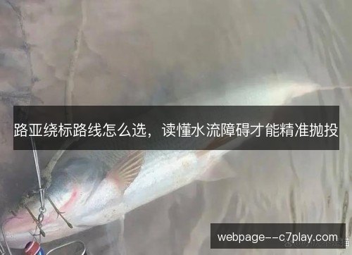 路亚绕标路线怎么选，读懂水流障碍才能精准抛投